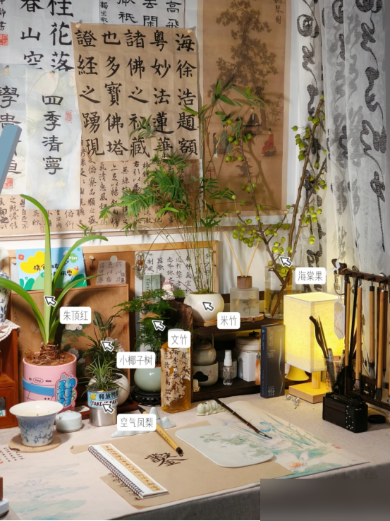 “阴花不能进阳宅”，家里若有这5种花，请赶紧“搬出去”！