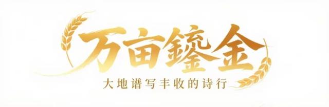 我愿称之为高原 “ 最盛大的秋景 ” ！