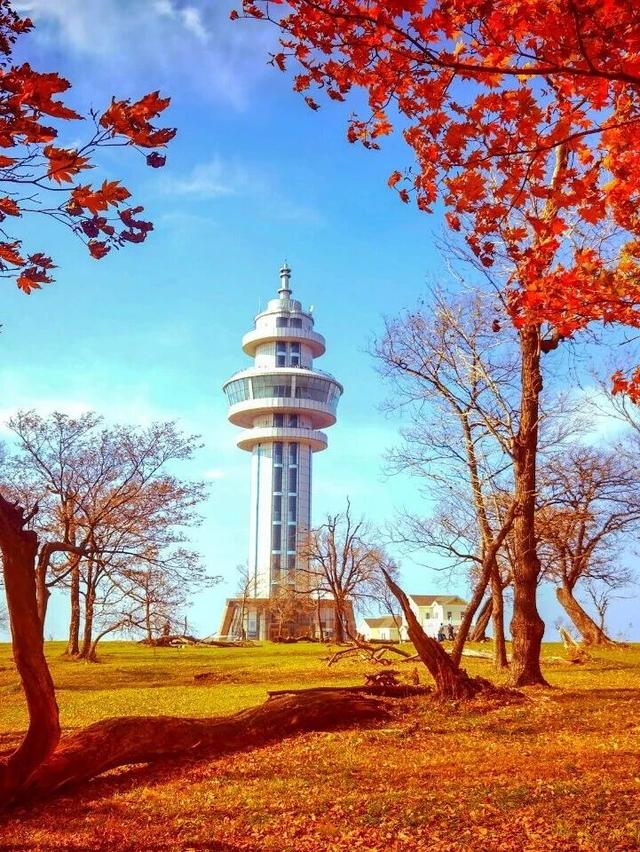 吉林这边秋色正好！重阳攀登“步步高”