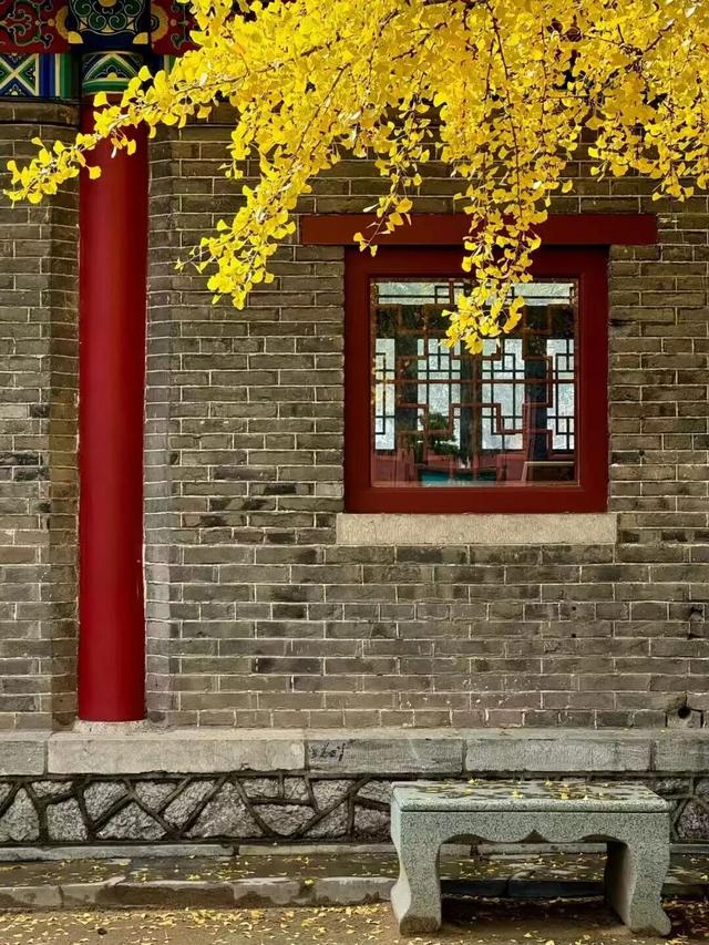 此刻的临沂，把清欢藏进风景里