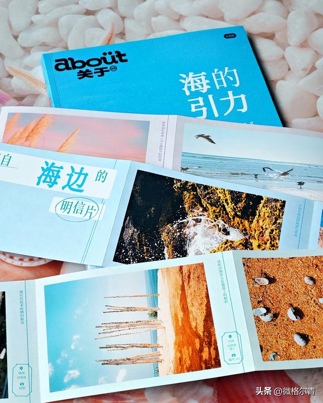 带上这本书，畅游全国海岸线！