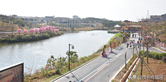 茂名520公园甜蜜上线！荔枝IP+婚俗改革，解锁粤西浪漫新地标