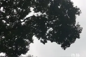 贵阳同比最大降幅17℃，气象台：只是开始图片