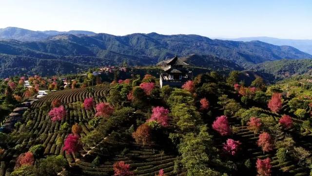 ​与格兰芬多自行车赛一起邂逅思茅！公园绿地 藏着最惬意的自然与文化之旅丨跟着赛事去旅行