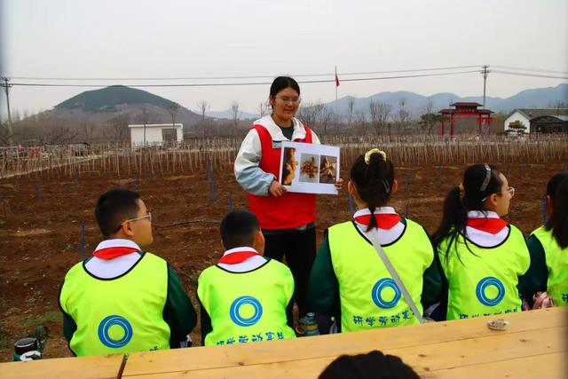 肥城市潮泉镇：泰山四大名药研学劳动教育实践基地绽放文化新彩