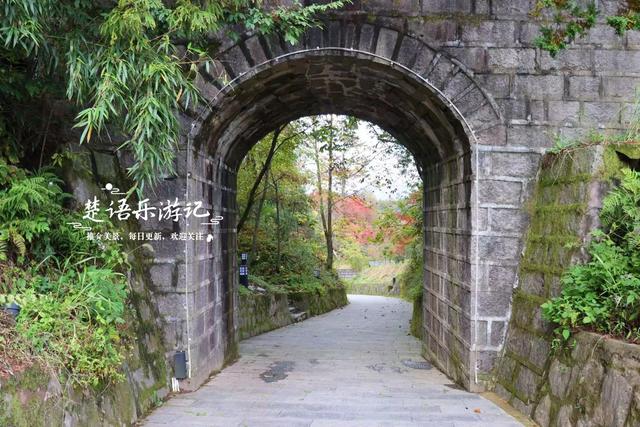 宁波四明山发现一个幽静山村，村口就是红枫银杏胜境，村内更好玩