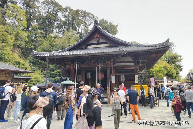 日本京都：走进鹿苑寺（金阁寺）