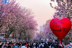 和平区的2024：“繁花”繁华，“流量”增量，“网红”长红图片