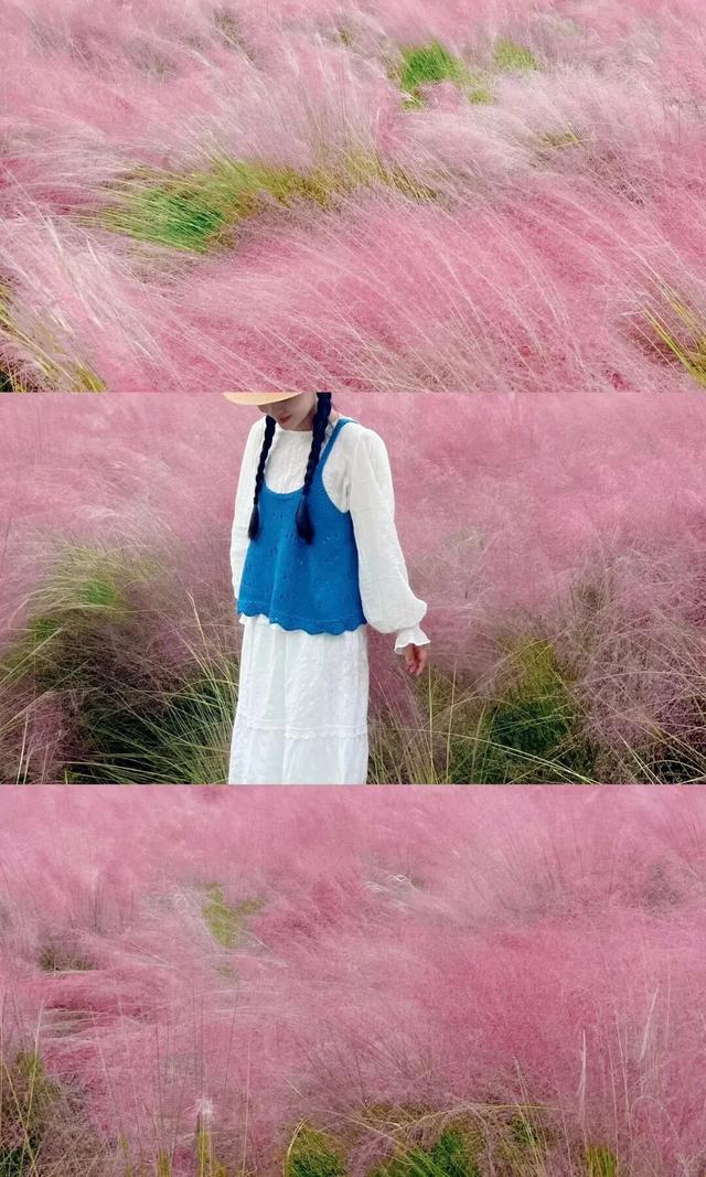 谁来管管这片地肤草啊！美得人挪不开眼