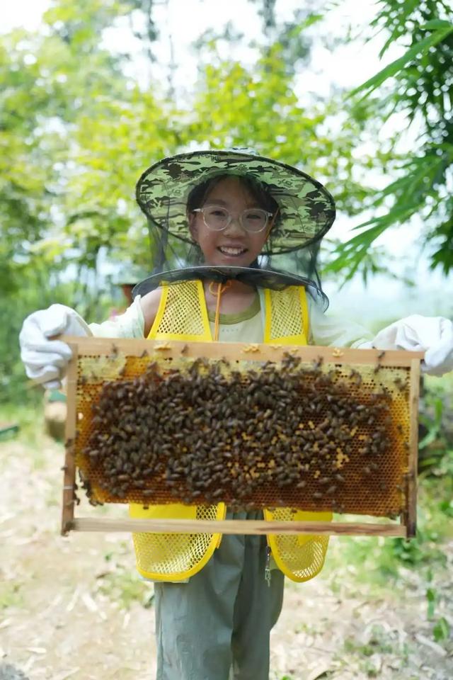 蜜蜂谷里探秘忙！“阅·自然”公益课堂开启自然研学之旅