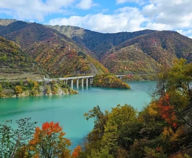 比光雾山好看，比米亚罗便宜！成都4h直达小众彩林0门票，红遍了