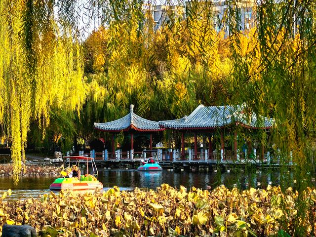 半烟火半诗意：潍坊园林的美，从不被定义