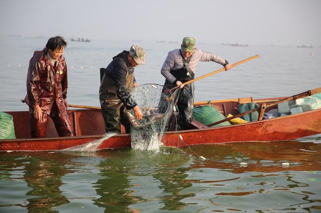 南海明明有巨量石油，多国都在偷偷盗挖，我国却到处买油，为何
