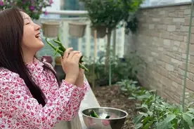 50岁的杨钰莹，豪宅里种菜，年过半百精致如少女，养花逗狗真自在图片