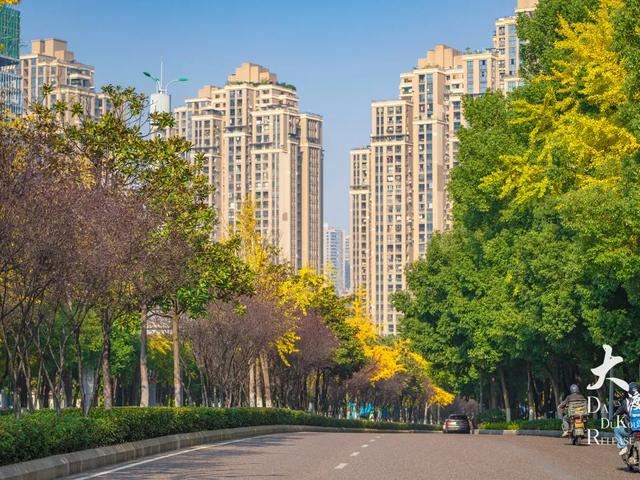 大渡口这里开启“美颜模式”，打卡要趁早～