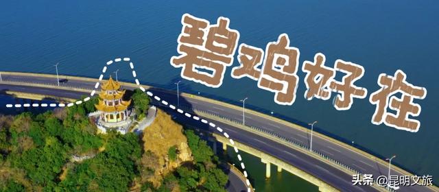 别再问昆明哪里能摘草莓了！收下这份采摘地图，直接抄作业→