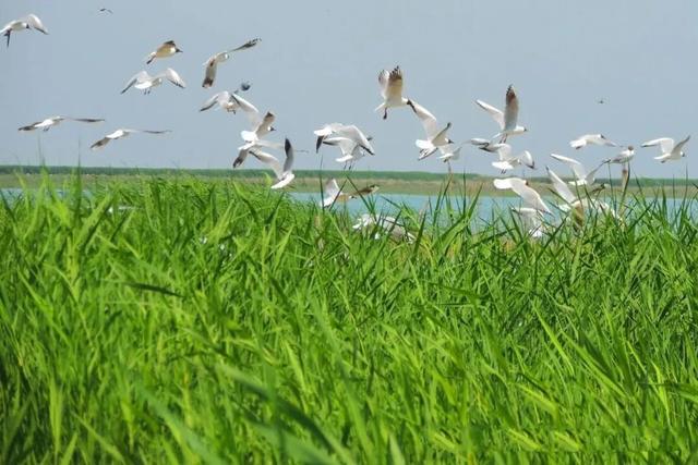 水天一色 博斯腾湖