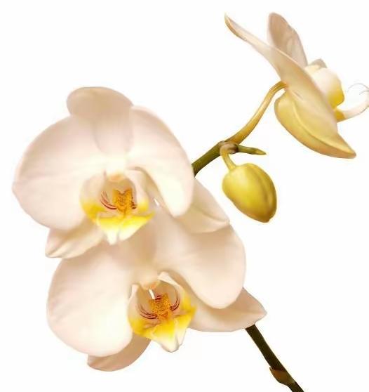 这社会，有时候真像一面照妖镜，照出人情冷暖，照出现实百态。