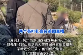 祸从口出！男子蹭茶园直播卖龙井后续：孙书记慌了，评论区炸锅！图片