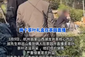 祸从口出！男子蹭茶园直播卖龙井后续：孙书记慌了，评论区炸锅！图片