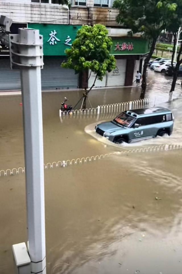 台风天开车“冲浪”后续：司机被行拘，身份遭扒，难怪做出这种事