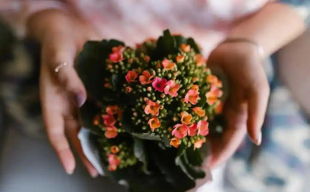 性商教母风波再升级！官媒不留脸面点评，字字直戳“媚男女”心窝