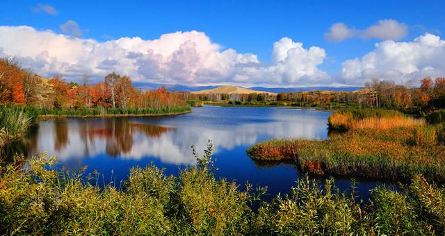 白鹿新疆落泪：当明星遇见绝美山河的极致浪漫