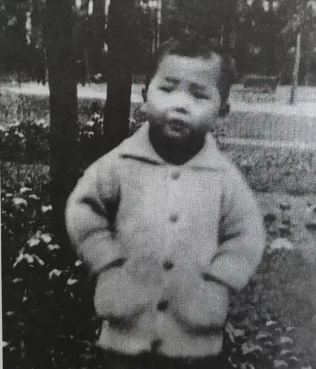 传闻他是周恩来的养子，1988年当上国务院总理，晚年对外界回应