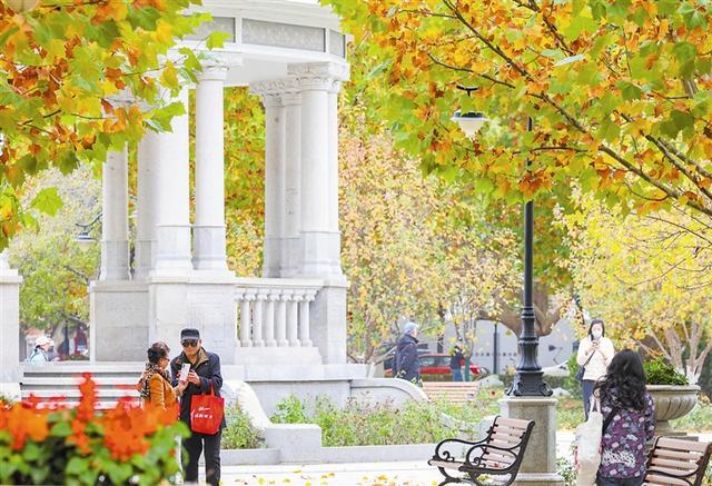 “叶”色正美 导航“津”秋 探寻浪漫滤镜里的街巷园区