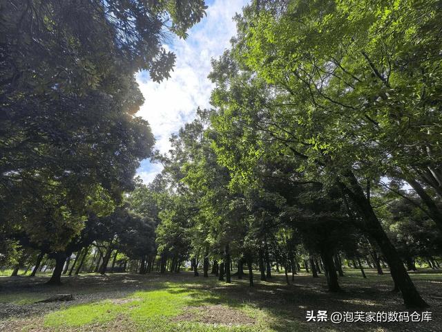 非凡价格 非凡体验 华为Mate XT体验 2万块和Z Fold6打的有来有回