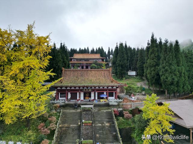 四川行(73)什邡红枫岭徒步到钟鼎寺
