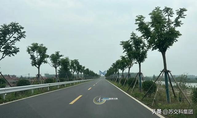 苏交科交科设计｜绘就洪泽湖旅游公路华章，奏响交旅融合时代强音