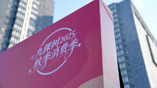 非遗文化融入生活日常 九棵树嘉年华打造文化消费新场景