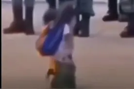 三岁娃娃带妹逃亡，终究难逃魔爪！图片