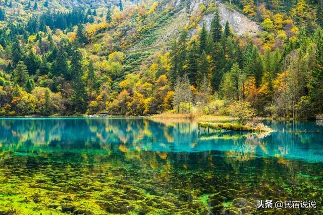 秋天，这十大红叶观赏地告诉你该去哪？