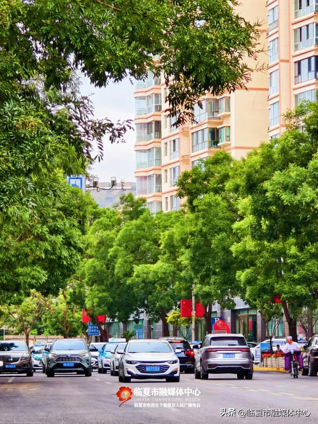 含氧量爆表!闯入花都临夏市的“绿野仙踪”,开启你的完美夏日~
