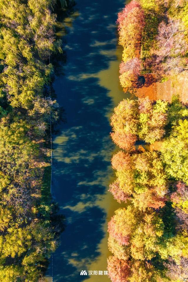 限时绝美！汉阳全城颜值巅峰，零换乘直达