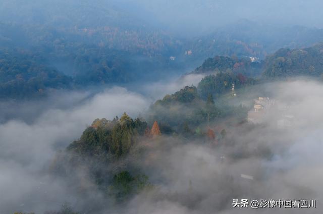 四川雅安：碧峰峡风光旖旎引客来