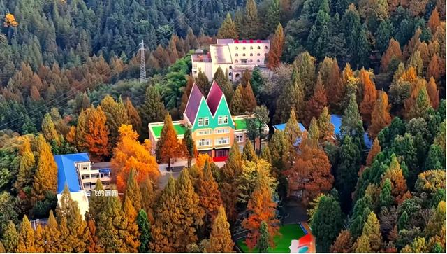 秋天的襄阳谷城 红彤彤金灿灿