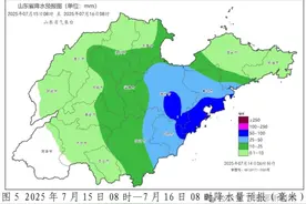 临沂预警：大雨！暴雨！8~10级风！图片