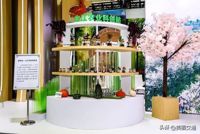 省交博会·衢州展区：公路串珠绘秘境，解锁“交通+”的融合魅力