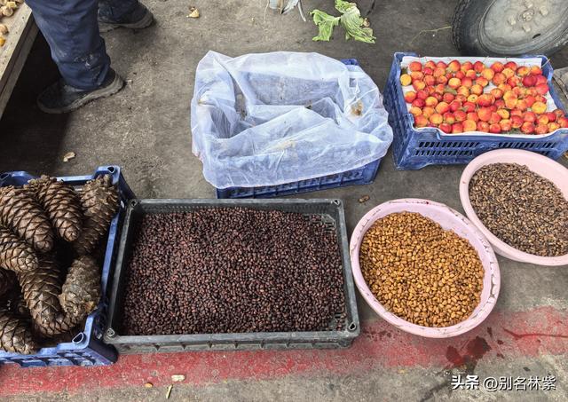 有惊无险的一天，从恩和到莫尔道嘎交通路线分享（16）