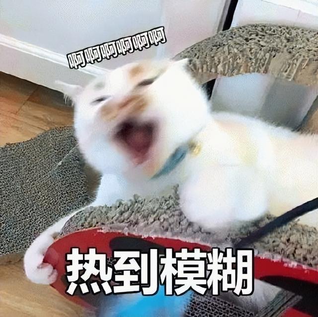 死亡率高！体温飙至40.9℃，广东一男子确诊！
