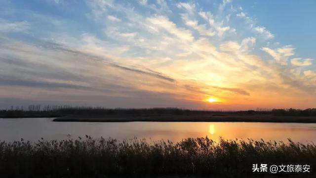 静湖、暖阳、慢时光!入冬后的东平湖已经美成人间的童话啦~