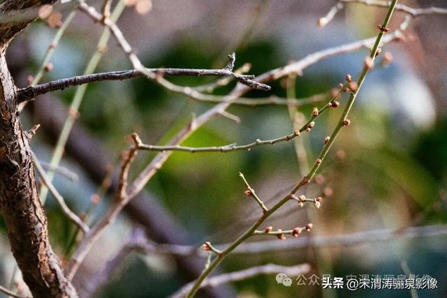 陕西渭南：冬至日的四季色调和万达广场的人间实像