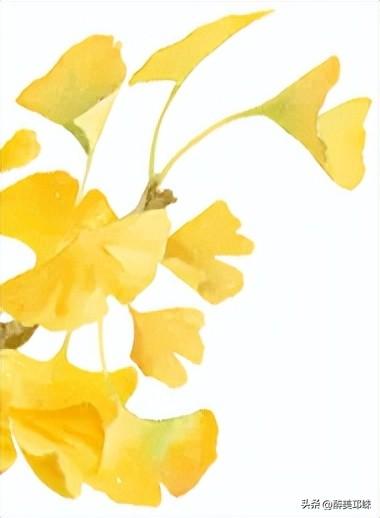 临邛古城银杏季，从浅黄到满树的鎏金，阳光温柔绵长