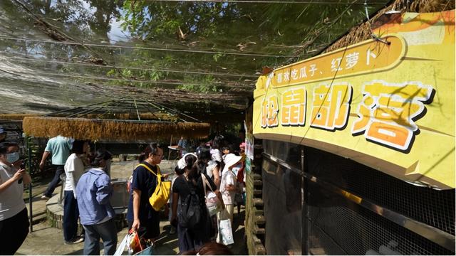 抓住暑期的尾巴！超多学子来到了鼎湖这里……