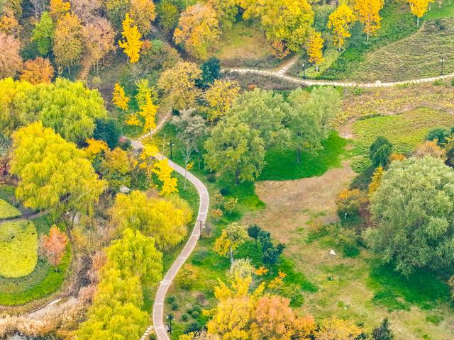 初冬访复圣文化园：与色彩和哲思对话