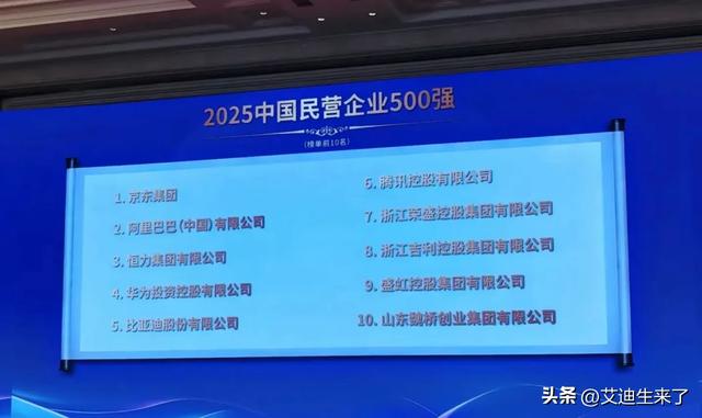 民企500强榜单大揭秘！比亚迪的超强表现太绝了！