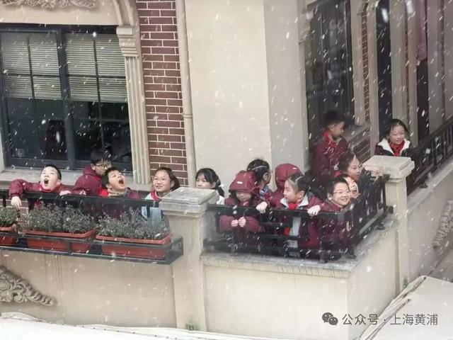 上海全城追雪！朋友圈和校园里彻底沸腾！零下6℃要来了，赏雪打卡还有机会